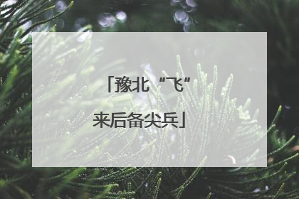 豫北“飞”来后备尖兵