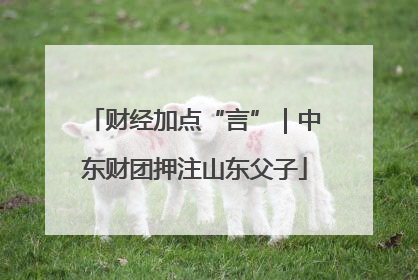 财经加点“言”｜中东财团押注山东父子
