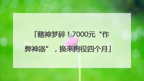 赌神梦碎！7000元“作弊神器”，换来拘役四个月