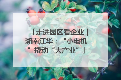 走进园区看企业｜湖南江华：“小电机”撬动“大产业”