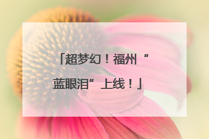 超梦幻！福州“蓝眼泪”上线！