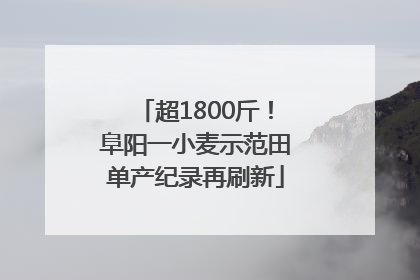 超1800斤！阜阳一小麦示范田单产纪录再刷新