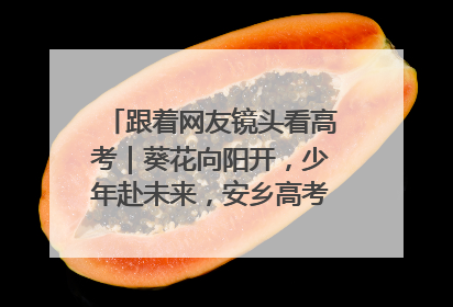 跟着网友镜头看高考｜葵花向阳开，少年赴未来，安乡高考首日的希望图景