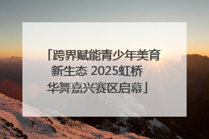跨界赋能青少年美育新生态 2025虹桥华舞嘉兴赛区启幕