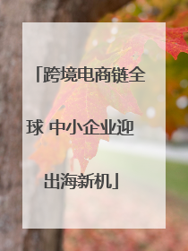 跨境电商链全球 中小企业迎出海新机