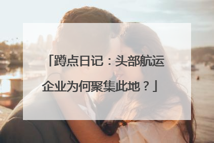 蹲点日记：头部航运企业为何聚集此地？