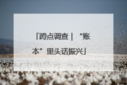 蹲点调查｜“账本”里头话振兴