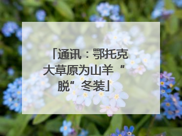 通讯：鄂托克大草原为山羊“脱”冬装