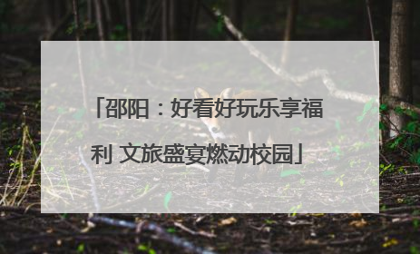 邵阳：好看好玩乐享福利 文旅盛宴燃动校园
