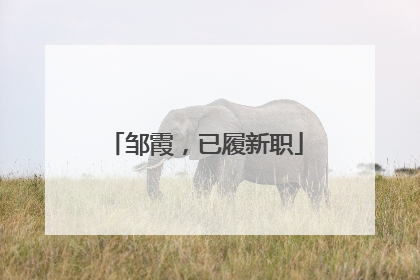 邹霞，已履新职