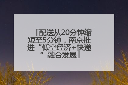 配送从20分钟缩短至5分钟，南京推进“低空经济+快递”融合发展