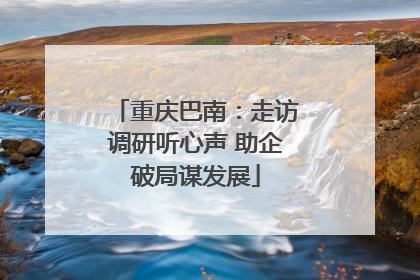 重庆巴南：走访调研听心声 助企破局谋发展