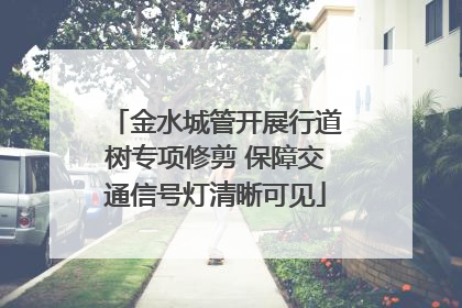 金水城管开展行道树专项修剪 保障交通信号灯清晰可见