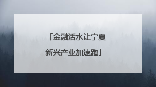金融活水让宁夏新兴产业加速跑