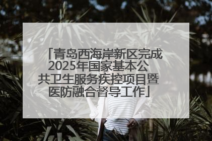 青岛西海岸新区完成2025年国家基本公共卫生服务疾控项目暨医防融合督导工作