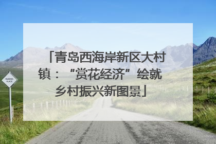 青岛西海岸新区大村镇：“赏花经济”绘就乡村振兴新图景