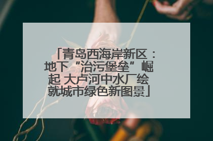 青岛西海岸新区：地下“治污堡垒”崛起 大卢河中水厂绘就城市绿色新图景