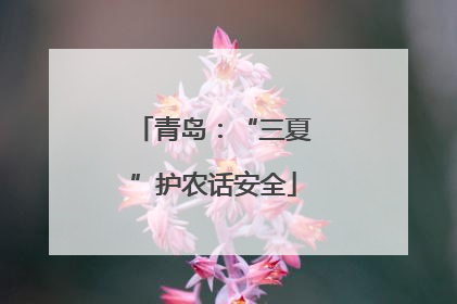 青岛：“三夏”护农话安全