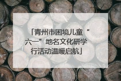 青州市困境儿童“六一”地名文化研学行活动温暖启航
