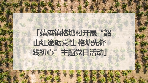 靖港镇格塘村开展“韶山红途砺党性 格塘先锋践初心”主题党日活动