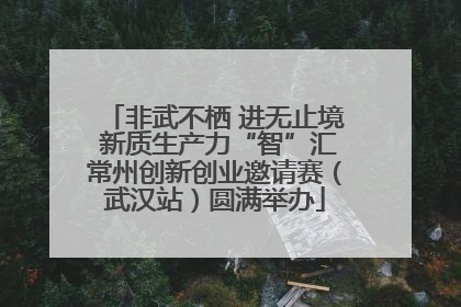 非武不栖 进无止境 新质生产力“智”汇常州创新创业邀请赛（武汉站）圆满举办