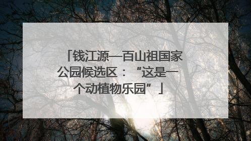 钱江源—百山祖国家公园候选区：“这是一个动植物乐园”