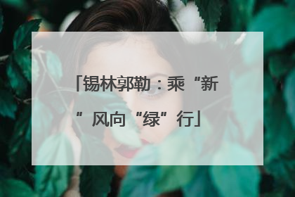 锡林郭勒：乘“新”风向“绿”行