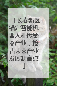 长春新区锚定智能机器人和传感器产业，抢占未来产业发展制高点