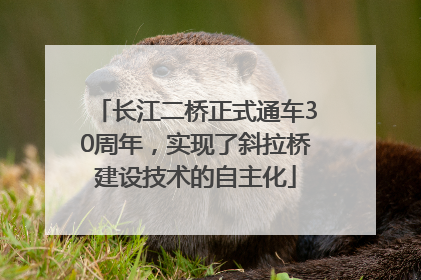 长江二桥正式通车30周年，实现了斜拉桥建设技术的自主化