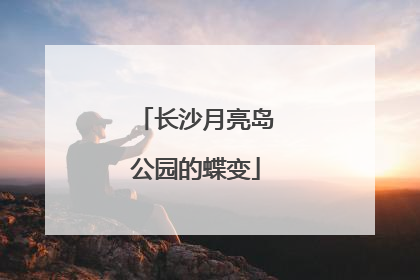 长沙月亮岛公园的蝶变