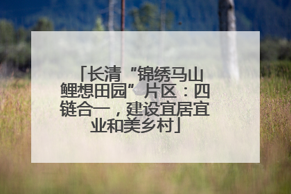 长清“锦绣马山 鲤想田园”片区：四链合一，建设宜居宜业和美乡村