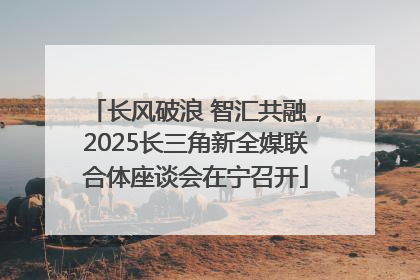 长风破浪 智汇共融，2025长三角新全媒联合体座谈会在宁召开