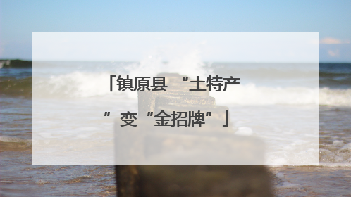 镇原县 “土特产”变“金招牌”