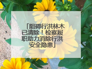 阻碍行洪林木已清除！检察履职助力消除行洪安全隐患