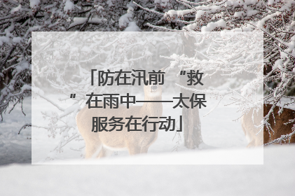 防在汛前 “救”在雨中——太保服务在行动