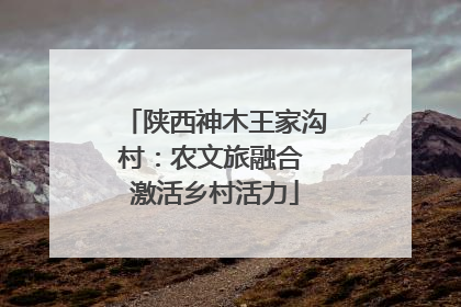陕西神木王家沟村：农文旅融合 激活乡村活力