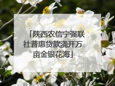 陕西农信宁强联社普惠贷款浇开万亩金银花海