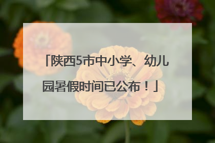 陕西5市中小学、幼儿园暑假时间已公布！