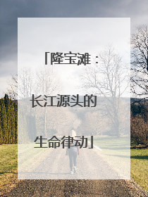 隆宝滩：长江源头的生命律动