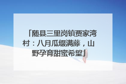 随县三里岗镇贾家湾村：八月瓜缀满藤，山野孕育甜蜜希望