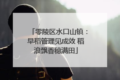 零陵区水口山镇：早稻管理见成效 稻浪飘香穗满田