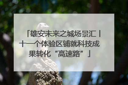 雄安未来之城场景汇丨十一个体验区铺就科技成果转化“高速路”