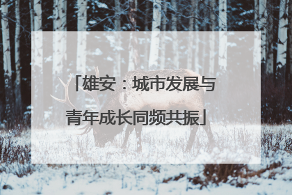 雄安：城市发展与青年成长同频共振