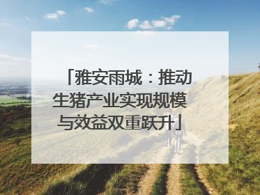 雅安雨城：推动生猪产业实现规模与效益双重跃升