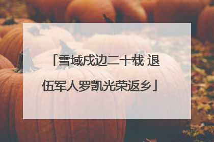 雪域戍边二十载 退伍军人罗凯光荣返乡