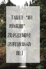 项目“积厚成器” 茂名县域经济释放新动能