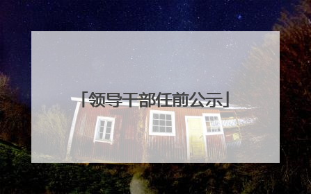 领导干部任前公示