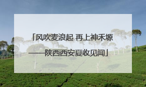风吹麦浪起 再上神禾塬——陕西西安夏收见闻