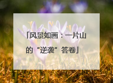 风景如画：一片山的“逆袭”答卷