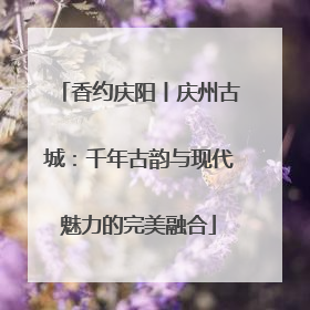 香约庆阳丨庆州古城：千年古韵与现代魅力的完美融合